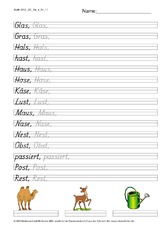 DSS_2S_Bu_s_Nr_11.pdf